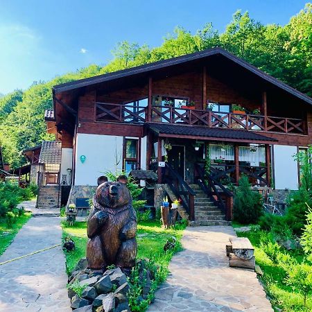 Chalet Vedmezhe Polyana  Exterior foto