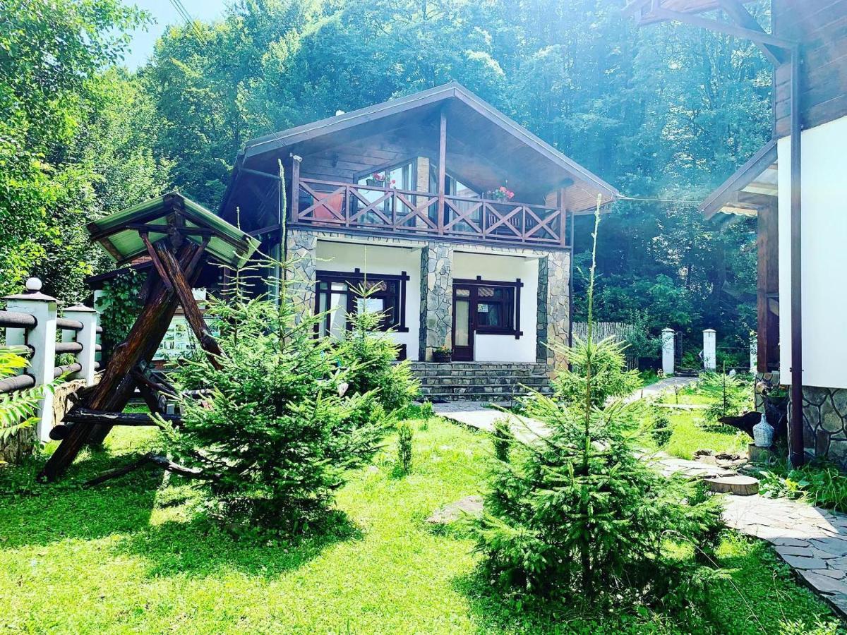 Chalet Vedmezhe Polyana  Exterior foto