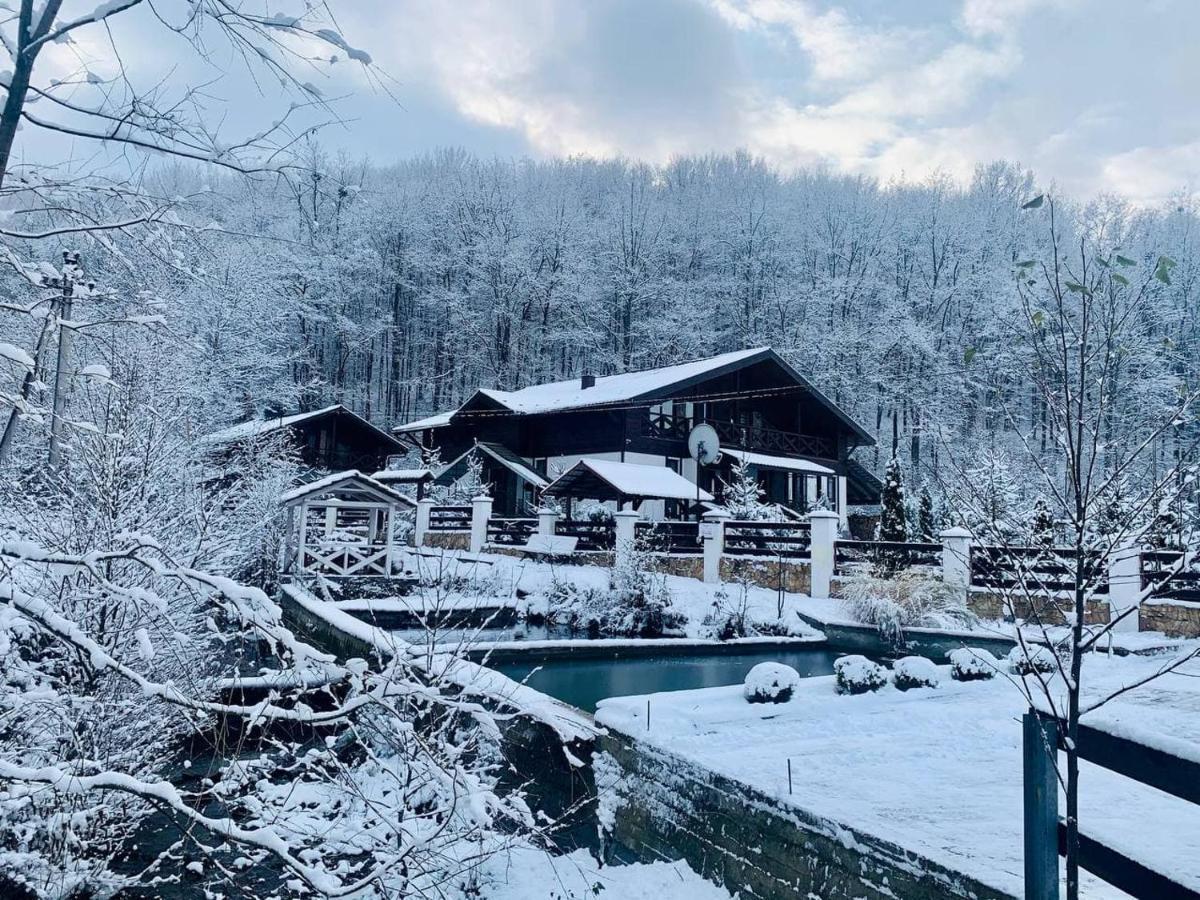 Chalet Vedmezhe Polyana  Exterior foto