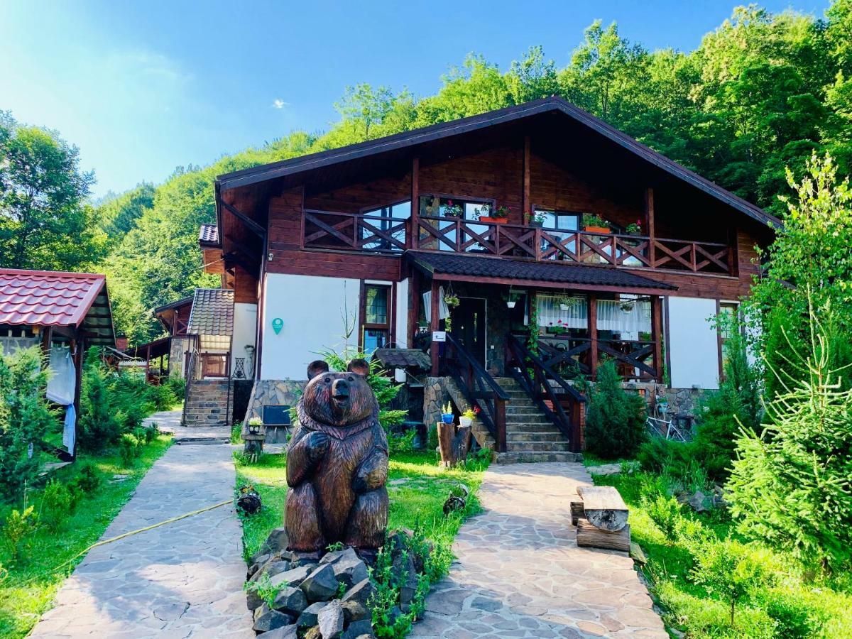 Chalet Vedmezhe Polyana  Exterior foto